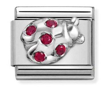 Animal - Red Ladybug CZ Silver Charm