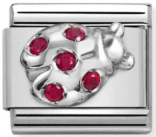 Animals - Red Ladybug CZ Silver Charm