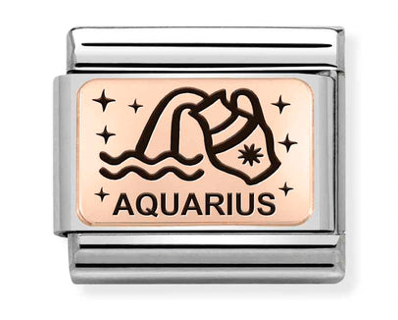 Zodiac - Rose Gold Aquarius Charm