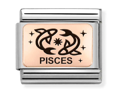 Rose Gold Pisces Charm