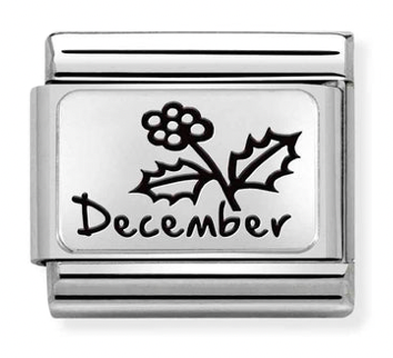 December Holly Flower Silver Charm