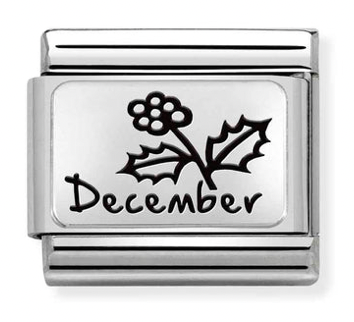 Birth Month Flower 12 - December Holly Flower Silver Charm