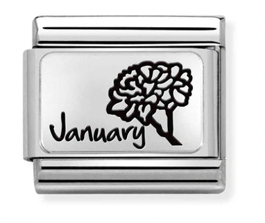 Birth Month Flower 1 - January Carnation Flower Silver Charm
