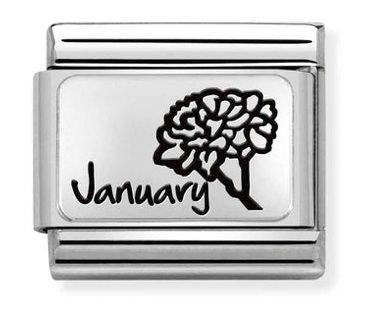 January Carnation Flower Silver Charm