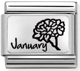 Birth Flower - January (Carnation) Silver Charm