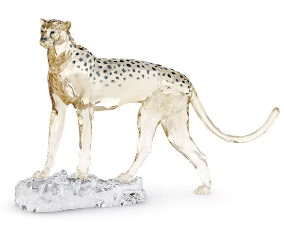 Elegance of AF: SCS 2023 Cheetah Mehira