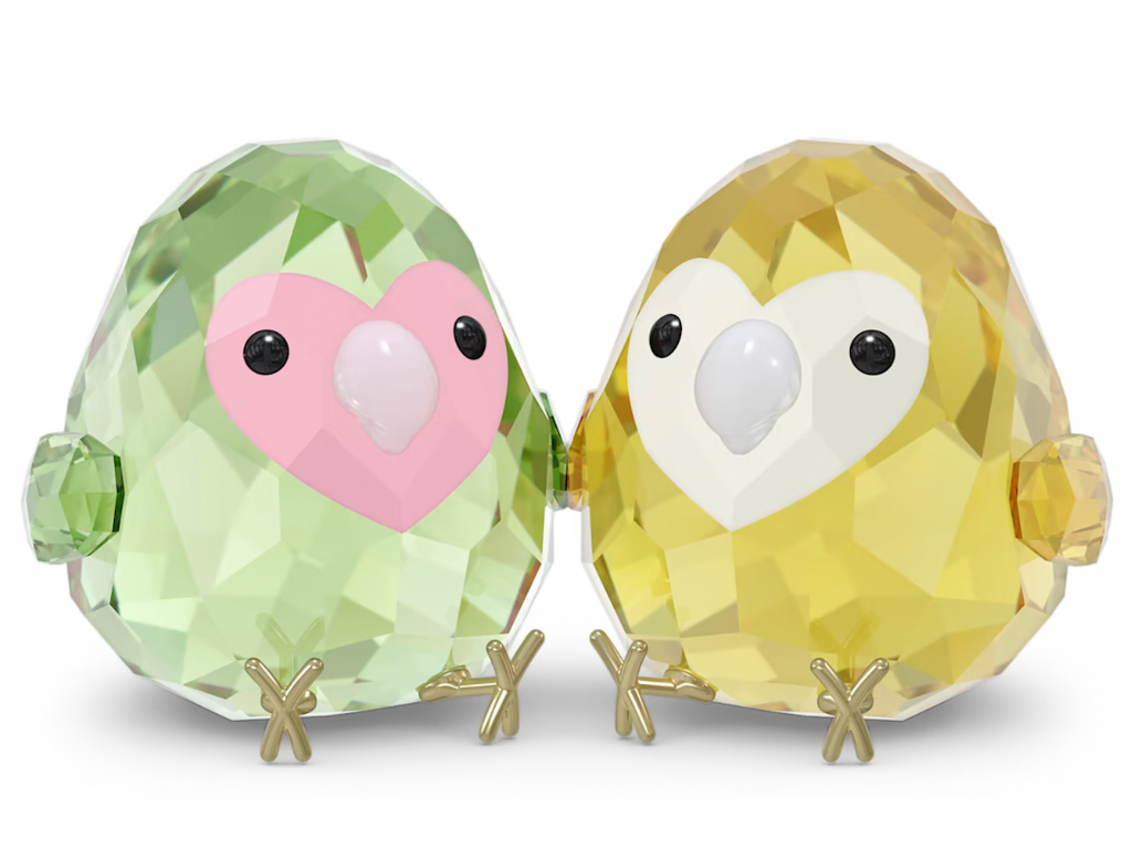 All you need are birds: Love bird couple