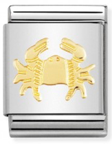 Nomination Cancer Gold Big Link