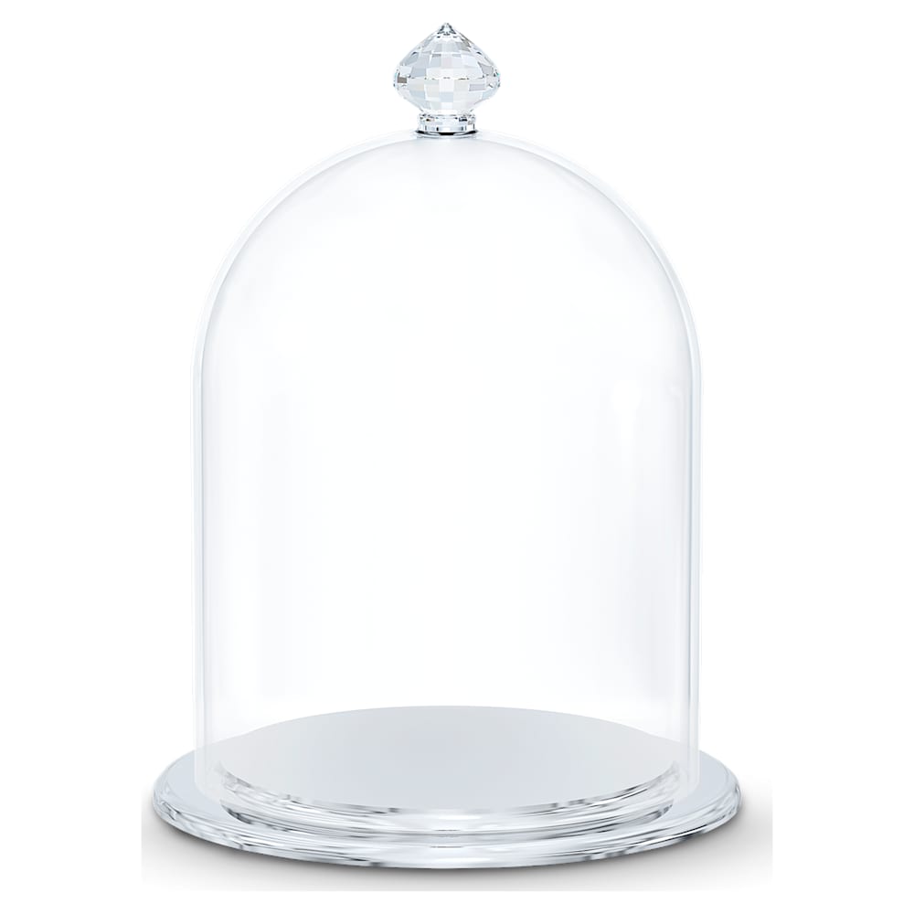 Small Bell Jar Display