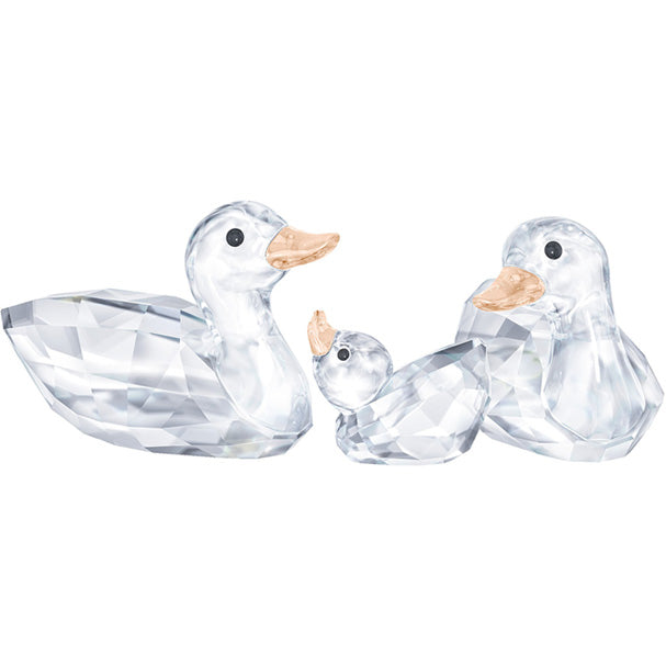 Ducks