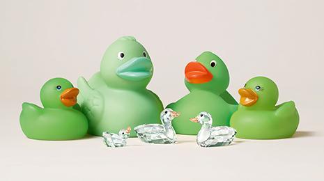 Ducks