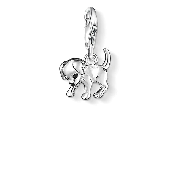 Puppy Silver Charm